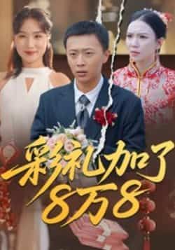 热门短剧彩礼加了8万8全集完整未删减版，纯净免费在线观看，百度夸克网盘免费资源分享下载。
