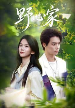 热门短剧野心家全集完整版免费无水印在线观看未删减，百度夸克网盘免费资源分享下载